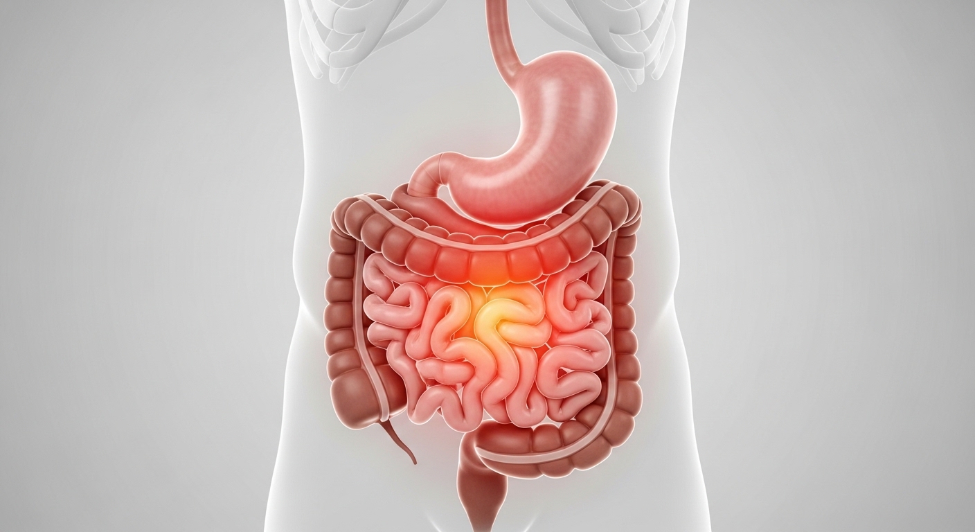 Ilustração anatômica dor abdominal